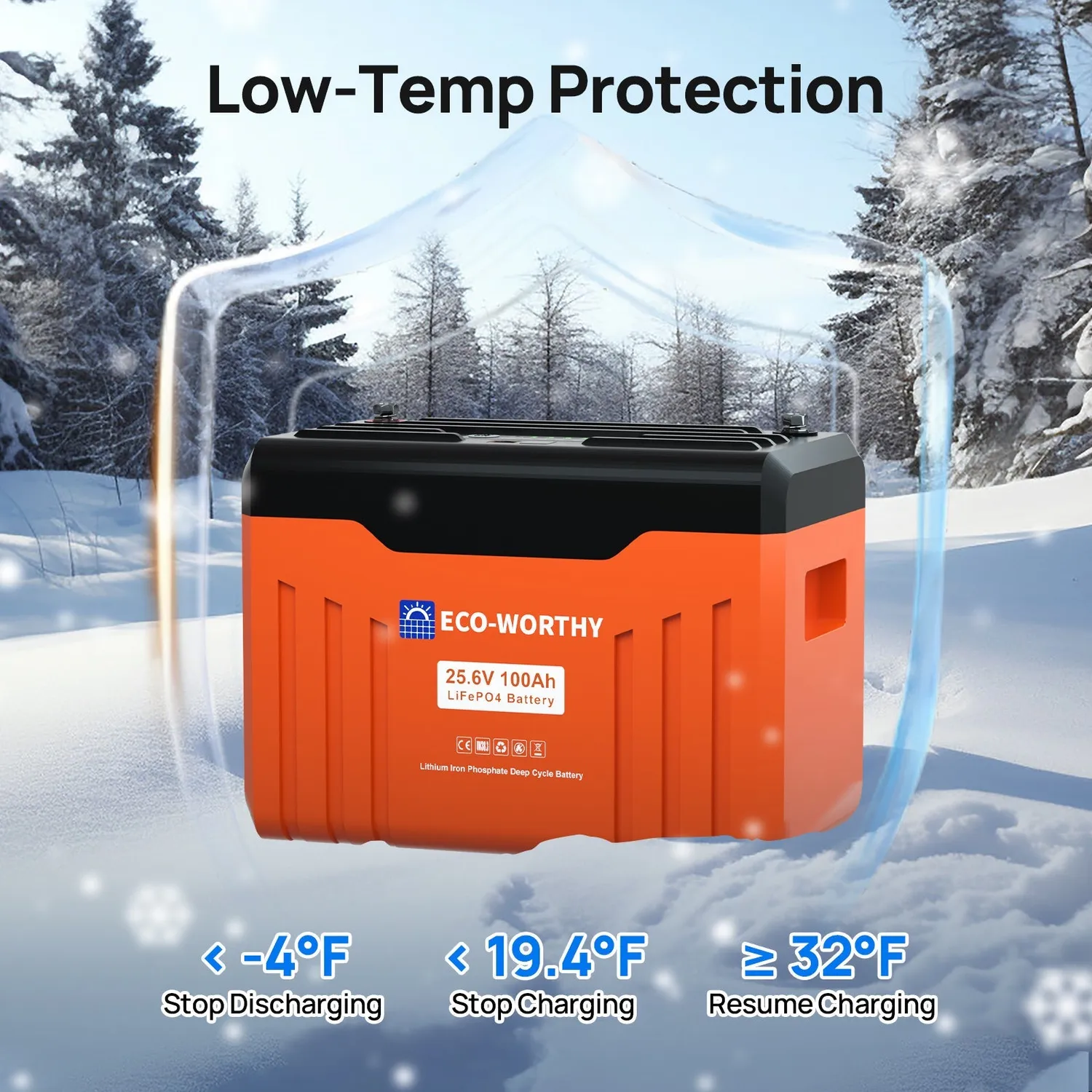 Eco-Worthy 24V 100Ah Bluetooth LiFePO4 baterie 2560Wh