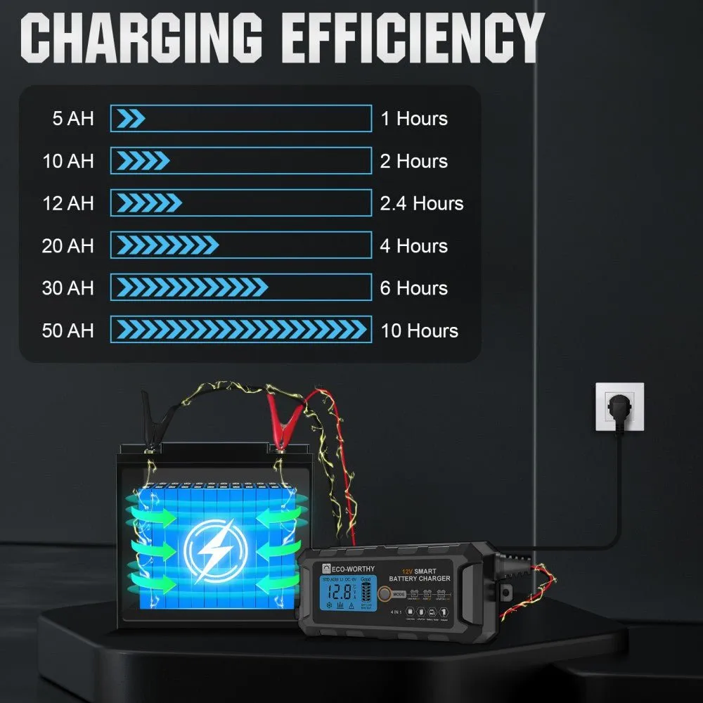 Eco-Worthy 12V smart nabíječka LiFePO4 s LCD
