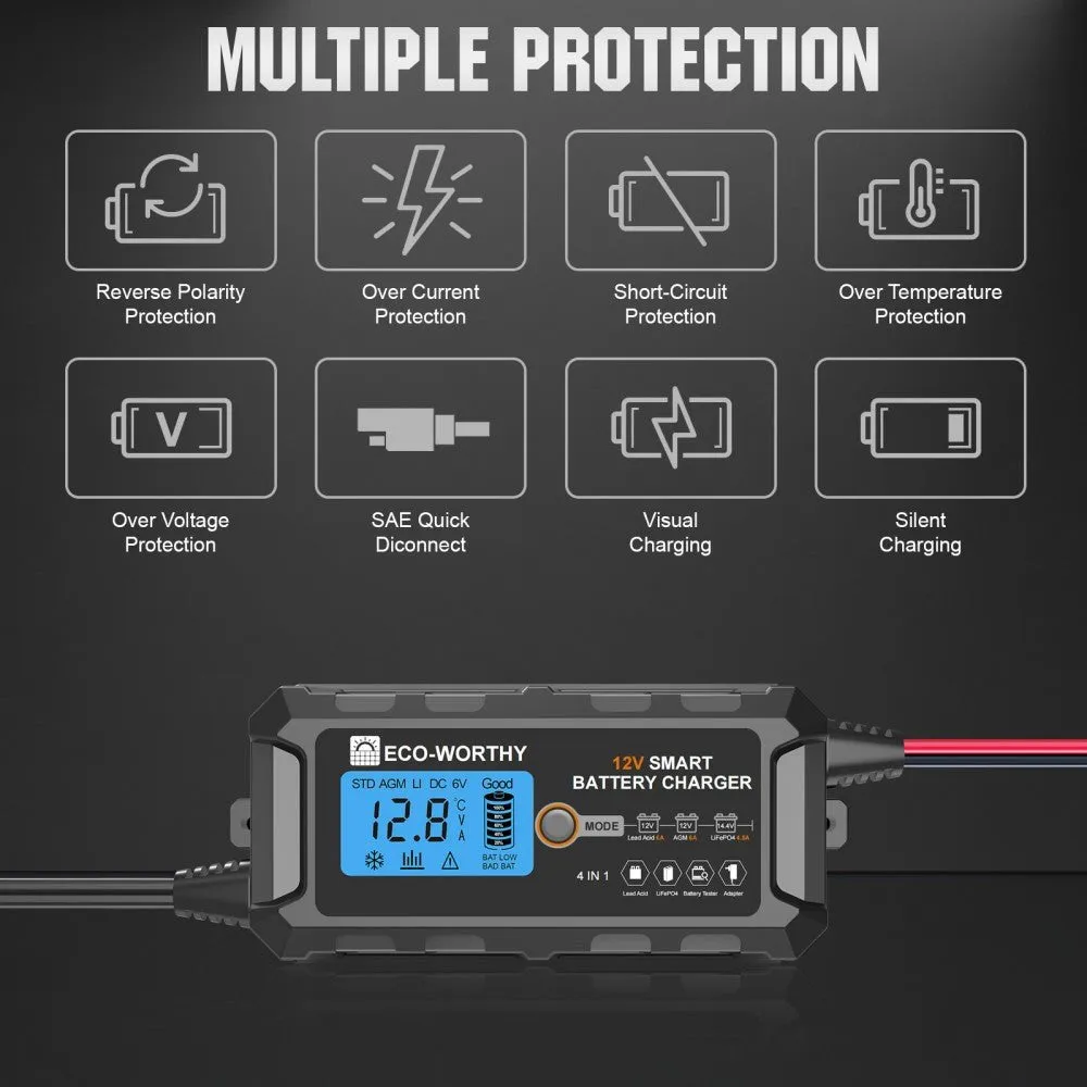 Eco-Worthy 12V smart nabíječka LiFePO4 s LCD