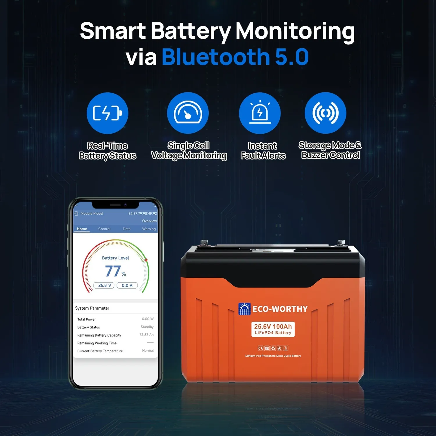 Eco-Worthy 24V 100Ah Bluetooth LiFePO4 baterie 2560Wh