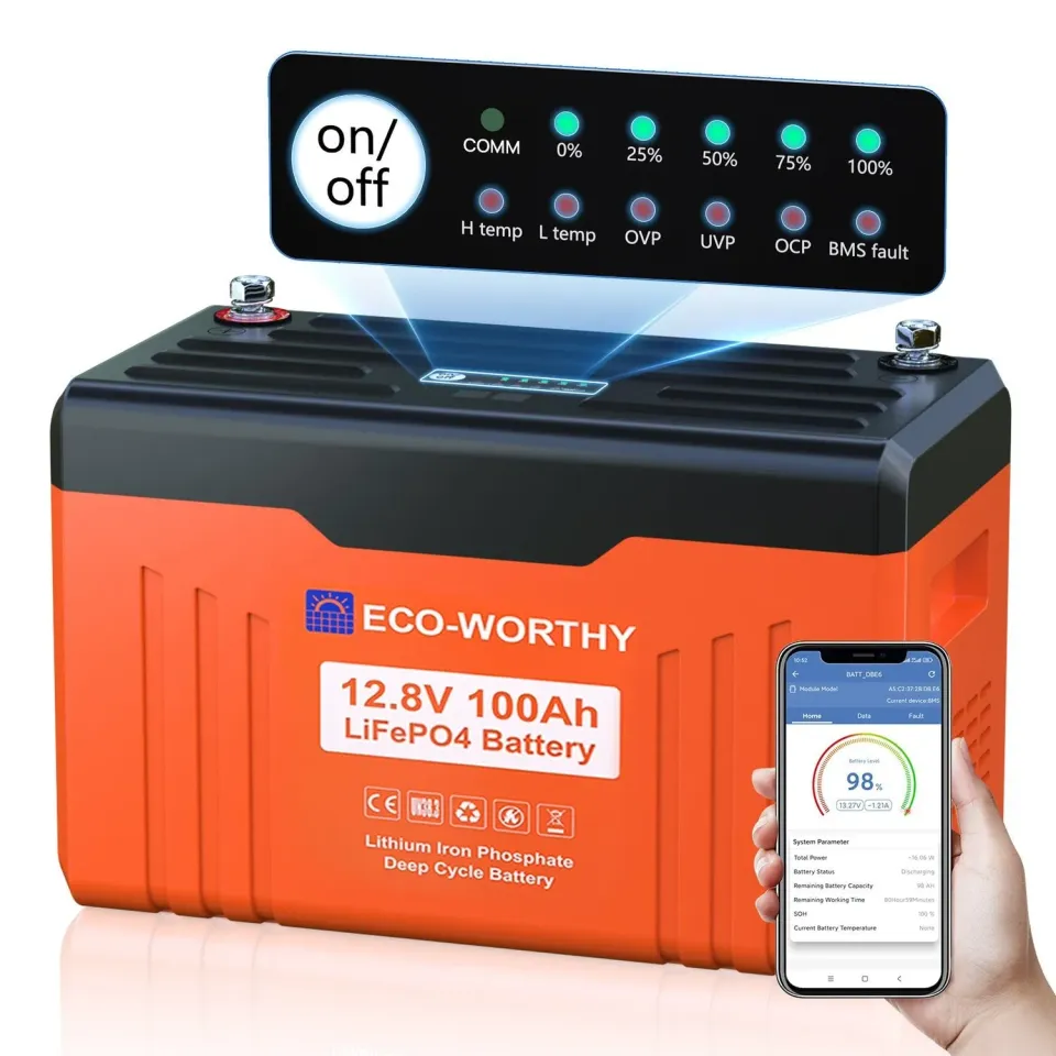 Eco-Worthy 12V 100Ah LiFePO4 baterie s displejem